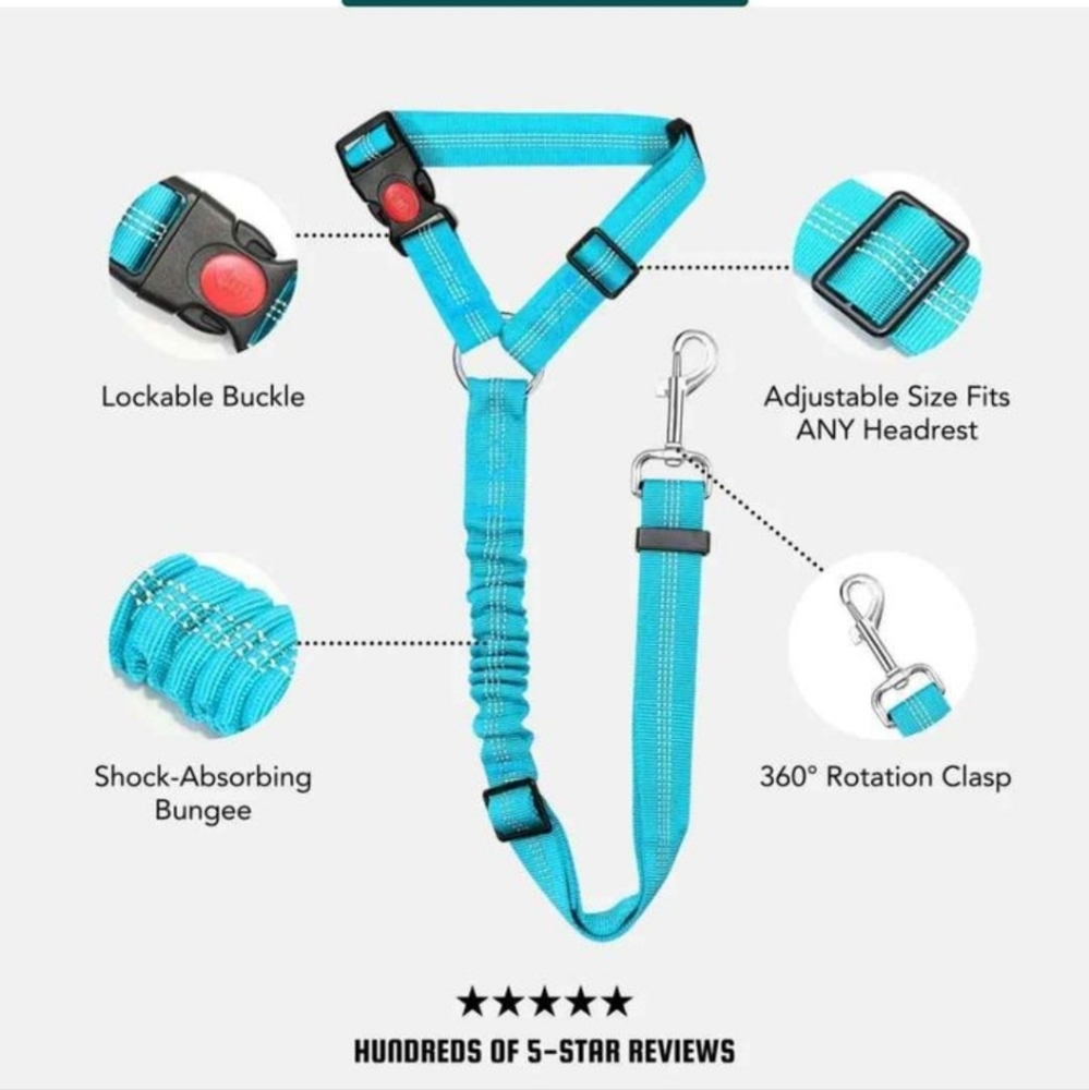 Pet leash for car